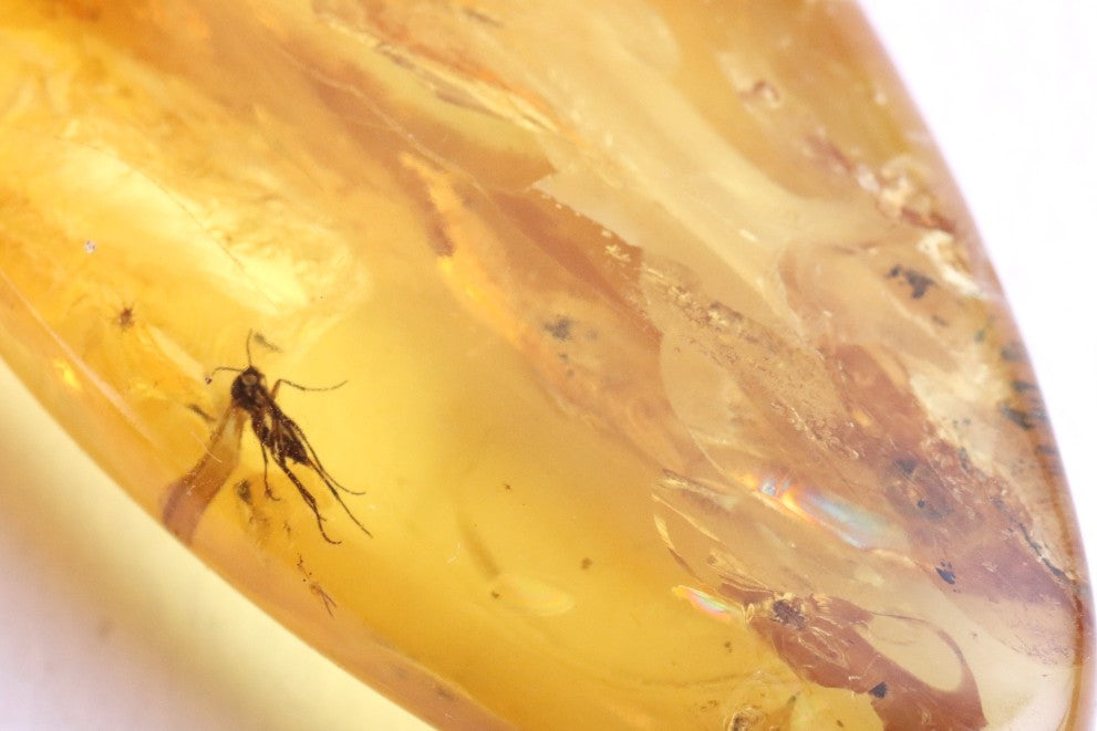Silver Pendant with Insect