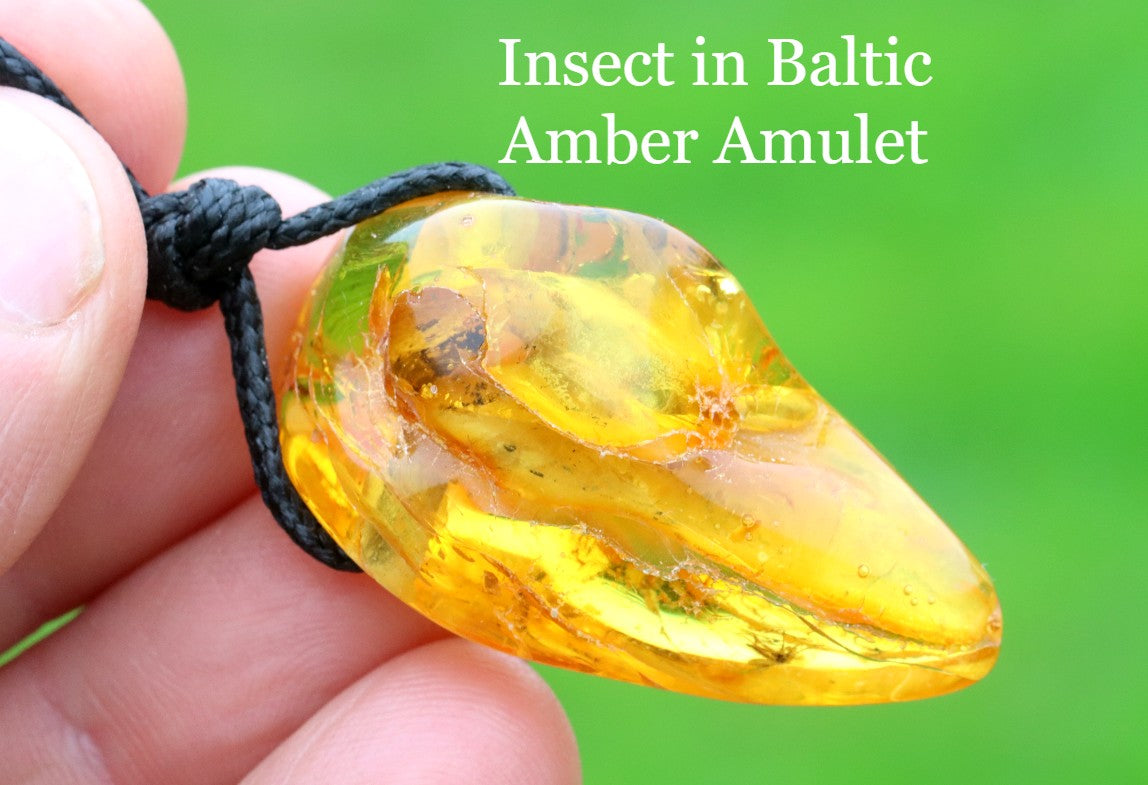 Special Offer Insect in Baltic Amber Amulet Pendant
