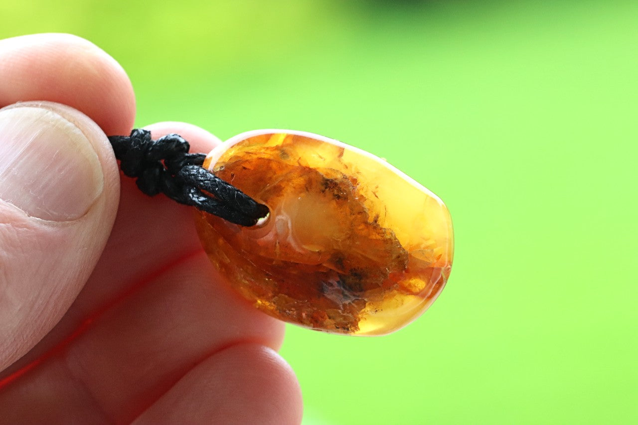 Amber Amulet Pendant on Adjustable Cord
