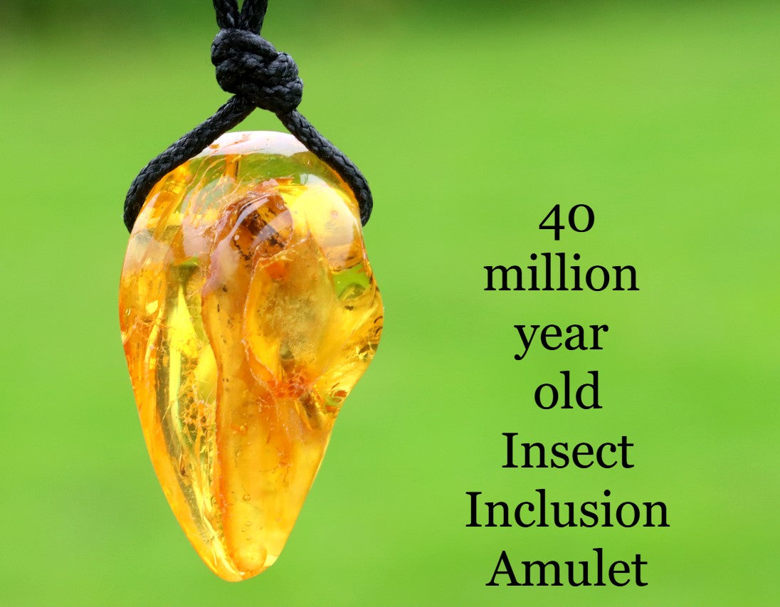 Special Offer Insect in Baltic Amber Amulet Pendant