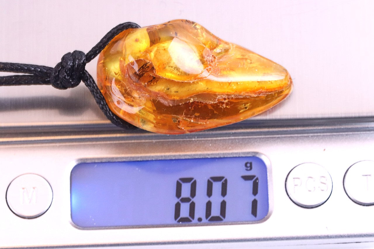 Special Offer Insect in Baltic Amber Amulet Pendant