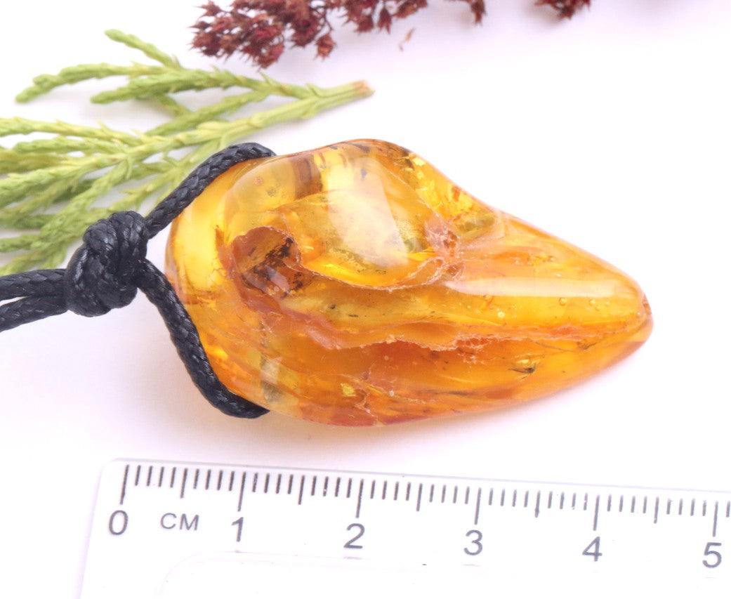 Special Offer Insect in Baltic Amber Amulet Pendant