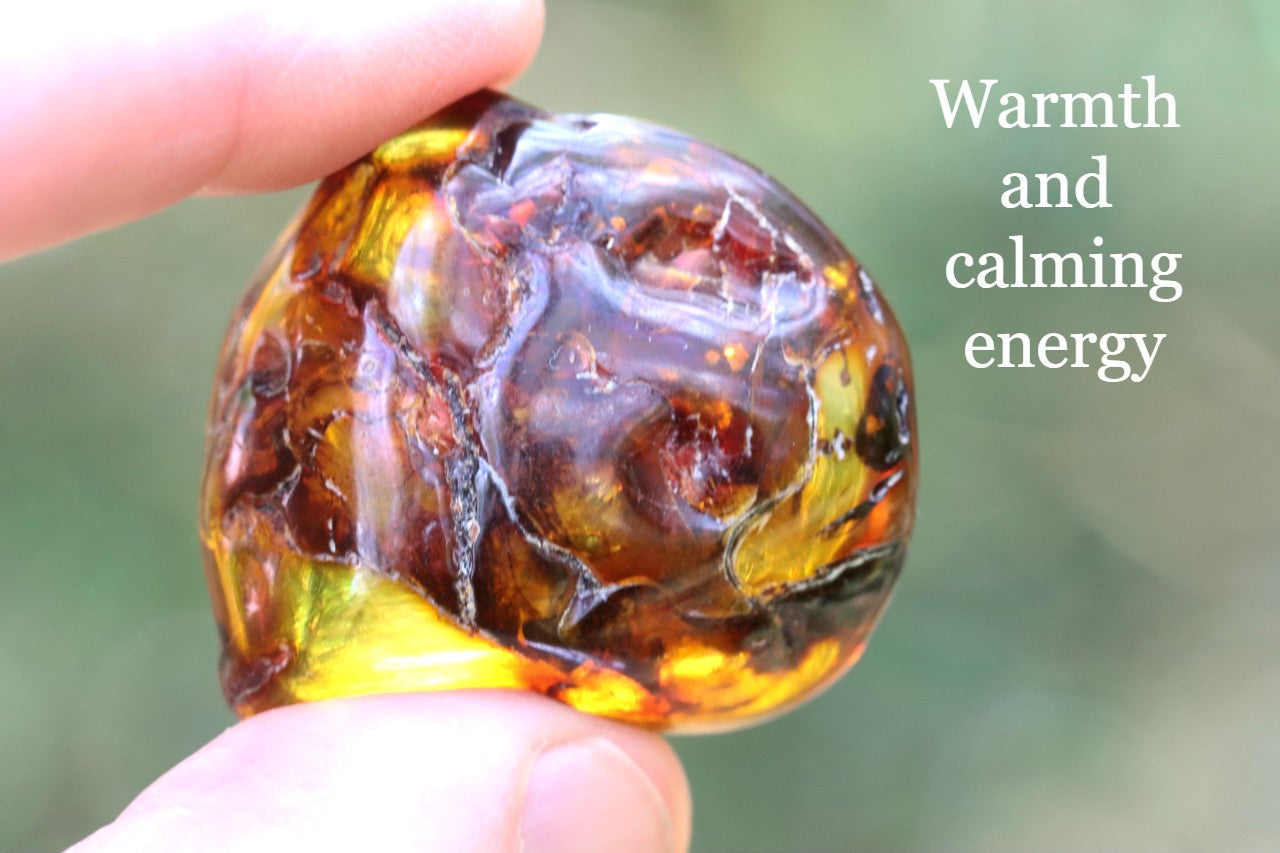 Natural Baltic Amber Gemstone – Gift for Nature Lovers