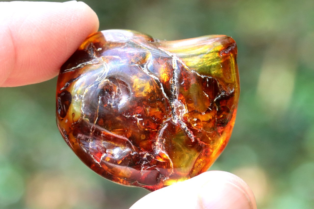 Natural Baltic Amber Gemstone – Gift for Nature Lovers