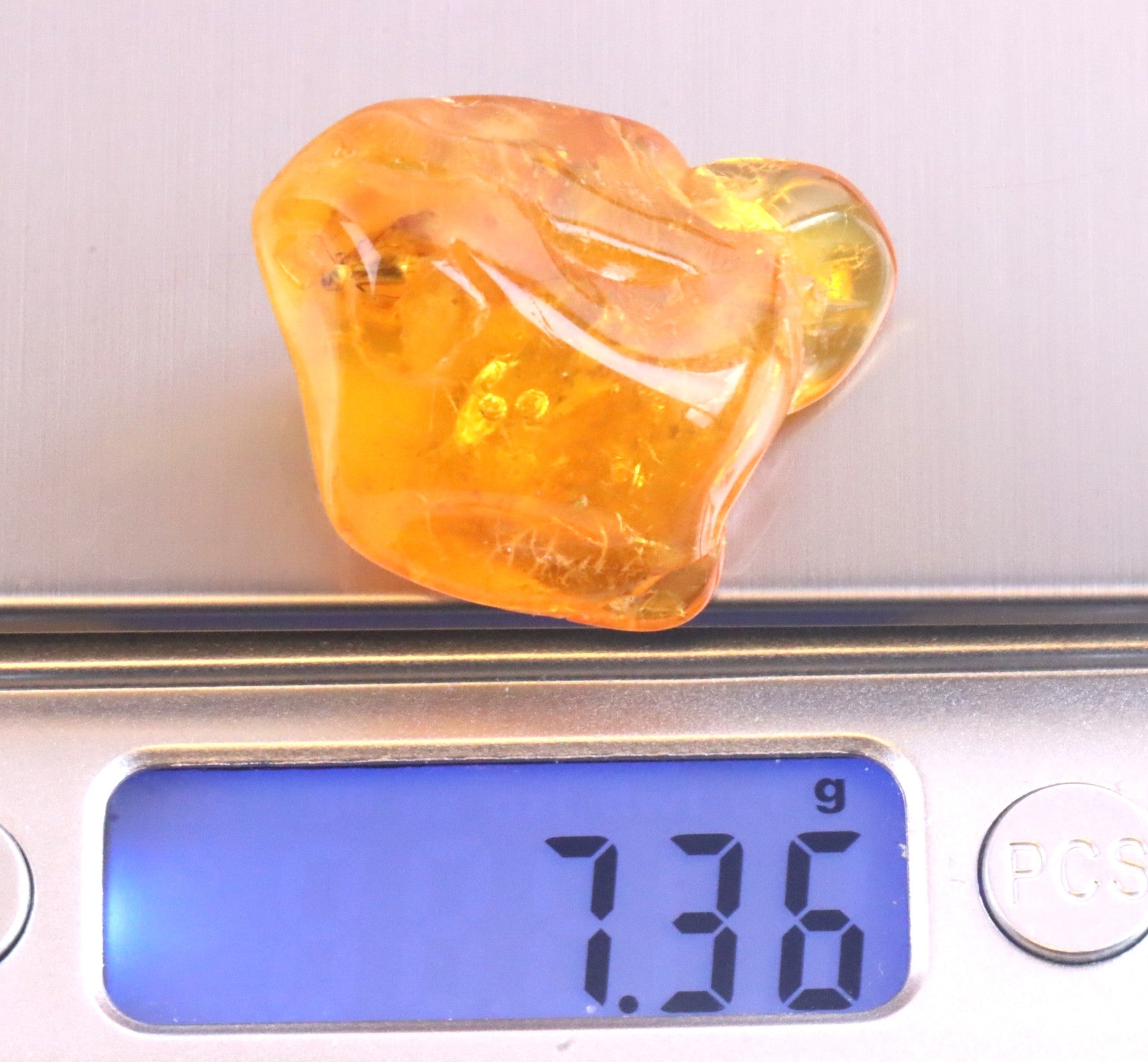 40 million year old Amber With Insect Inclusion