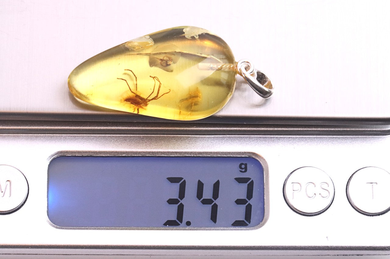 Spider & Fly Inclusion Pendant Necklace