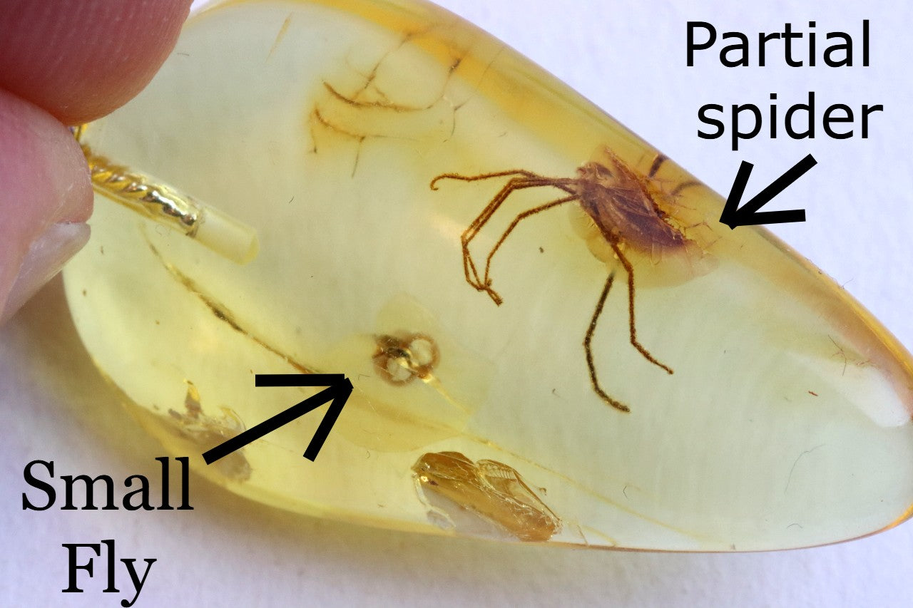 Spider Fly Inclusion Pendant Necklace Amber SOS Pendant
