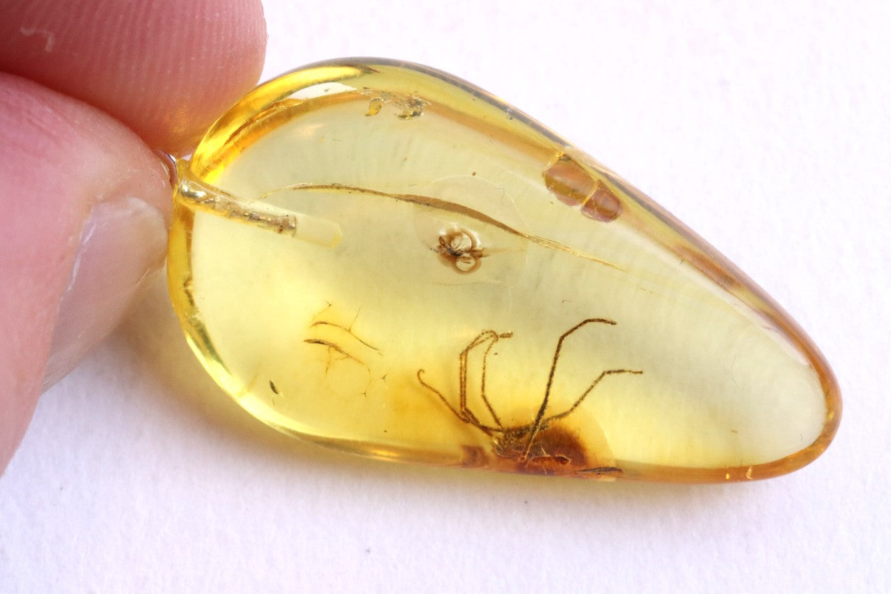 Spider & Fly Inclusion Pendant Necklace