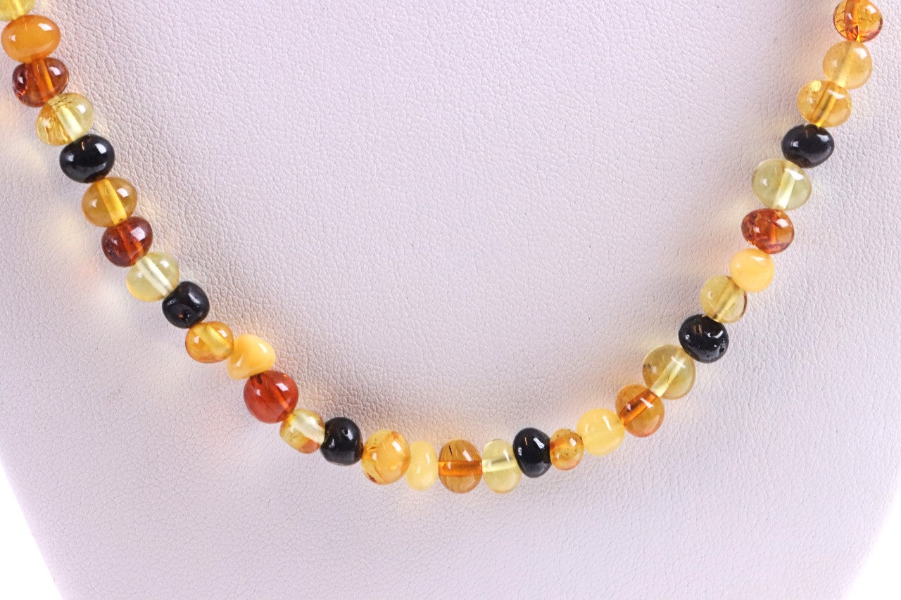 Amber Necklace Mixed