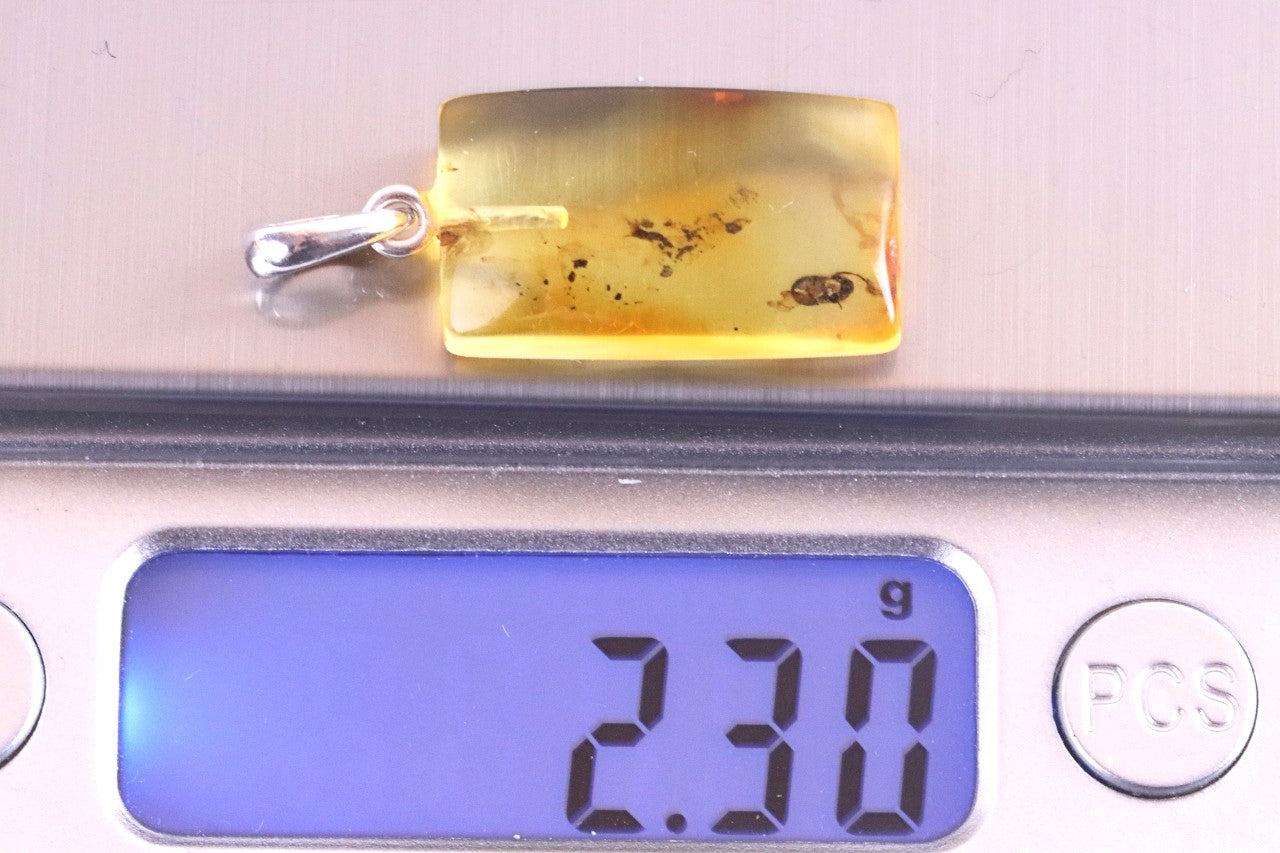Baltic Amber Insect Pendant – Sterling Silver Setting