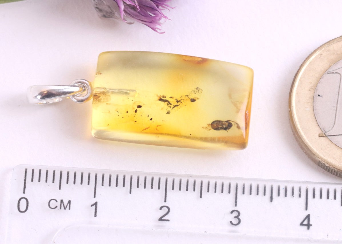 Baltic Amber Insect Pendant – Sterling Silver Setting