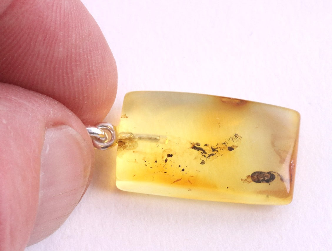 Baltic Amber Insect Pendant – Sterling Silver Setting