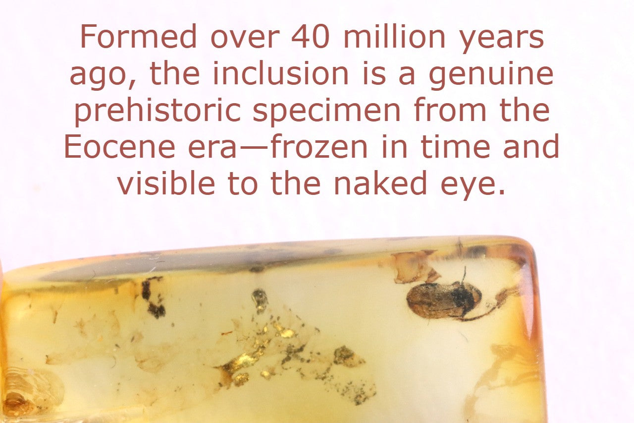 Baltic Amber Insect Pendant – Sterling Silver Setting