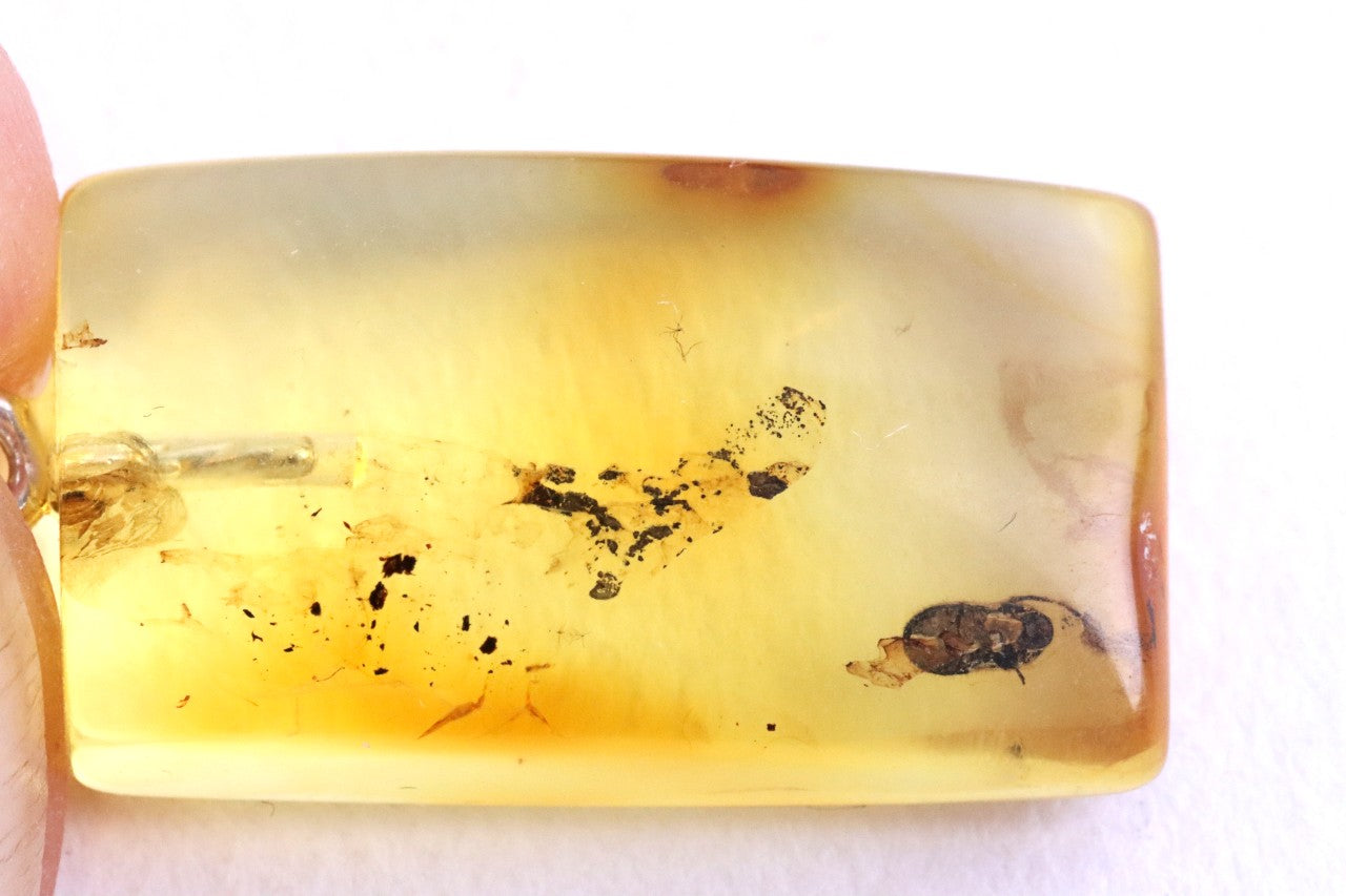 Baltic Amber Insect Pendant – Sterling Silver Setting