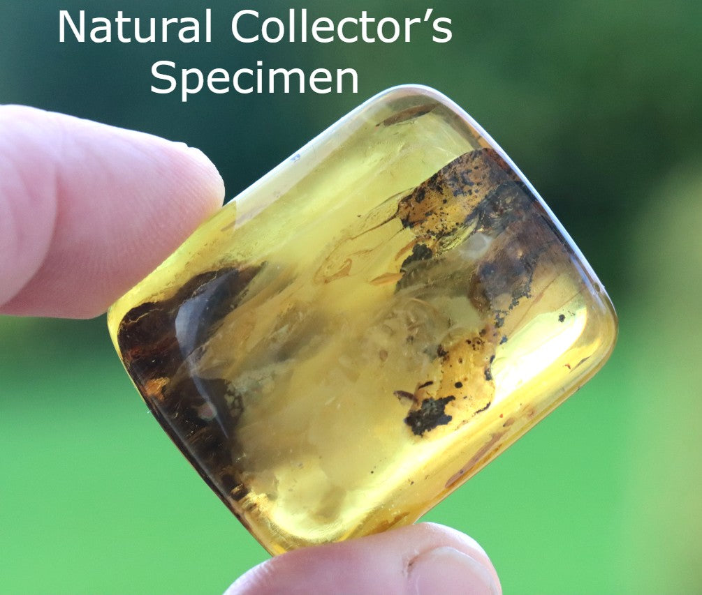 40 Million-Year-Old Baltic Amber with 3 Insect Inclusions