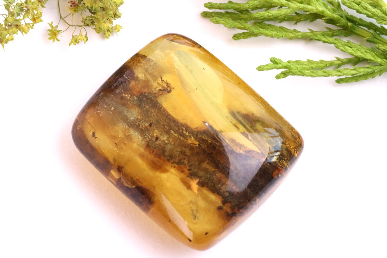 40 Million-Year-Old Baltic Amber with 3 Insect Inclusions