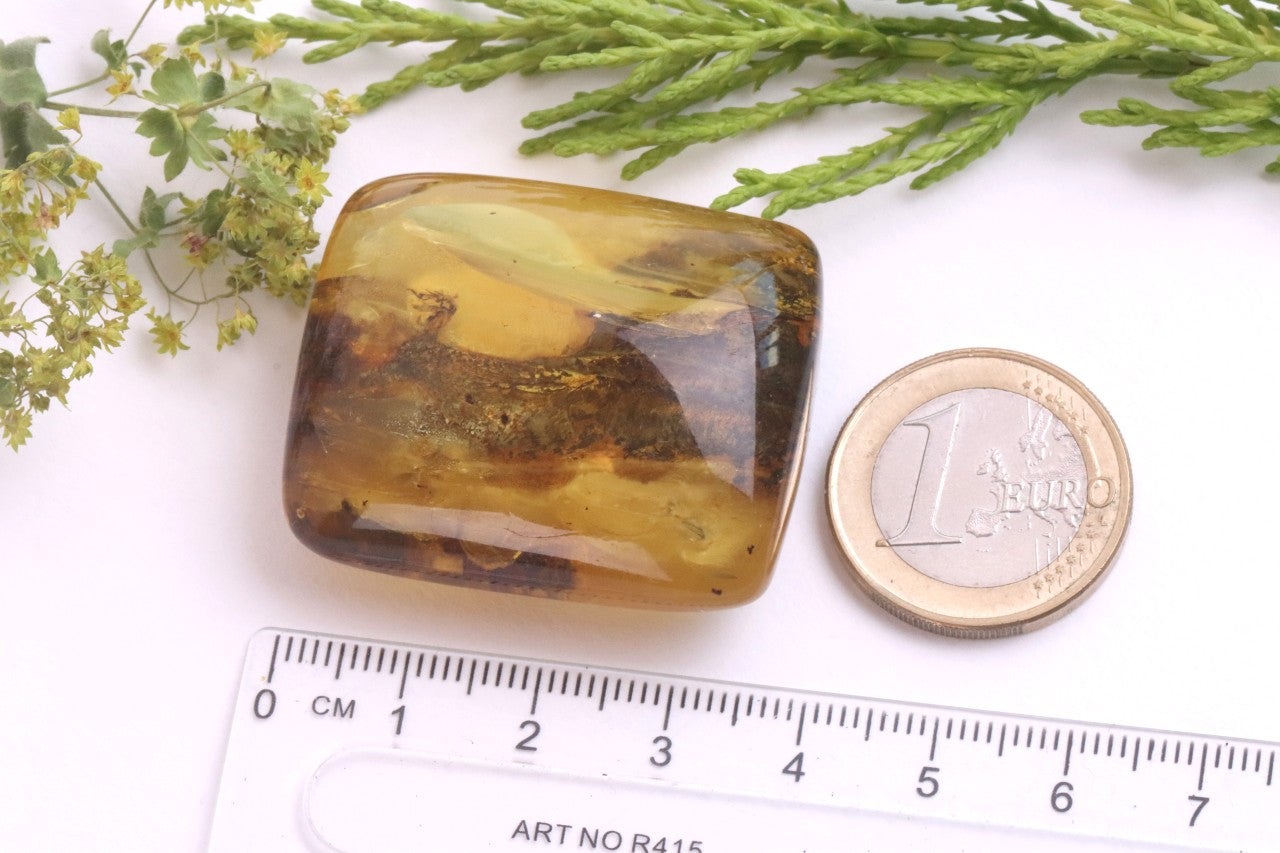 40 Million-Year-Old Baltic Amber with 3 Insect Inclusions