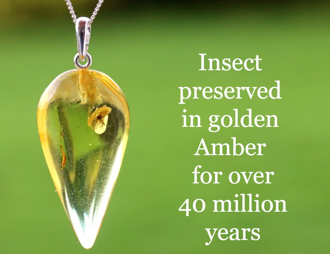 Silver Amber Pendant with Insect Inclusion