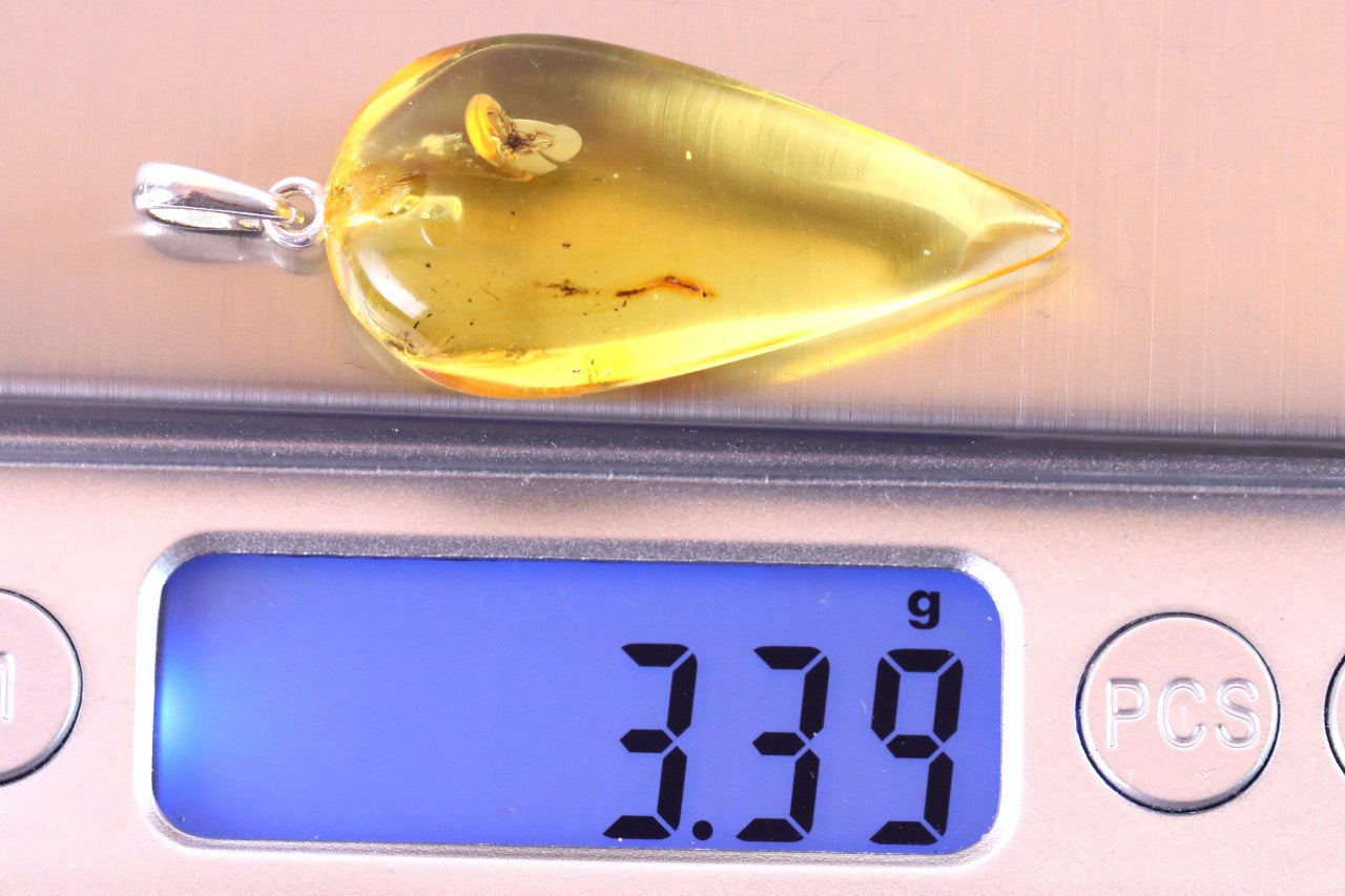 Silver Amber Pendant with Insect Inclusion
