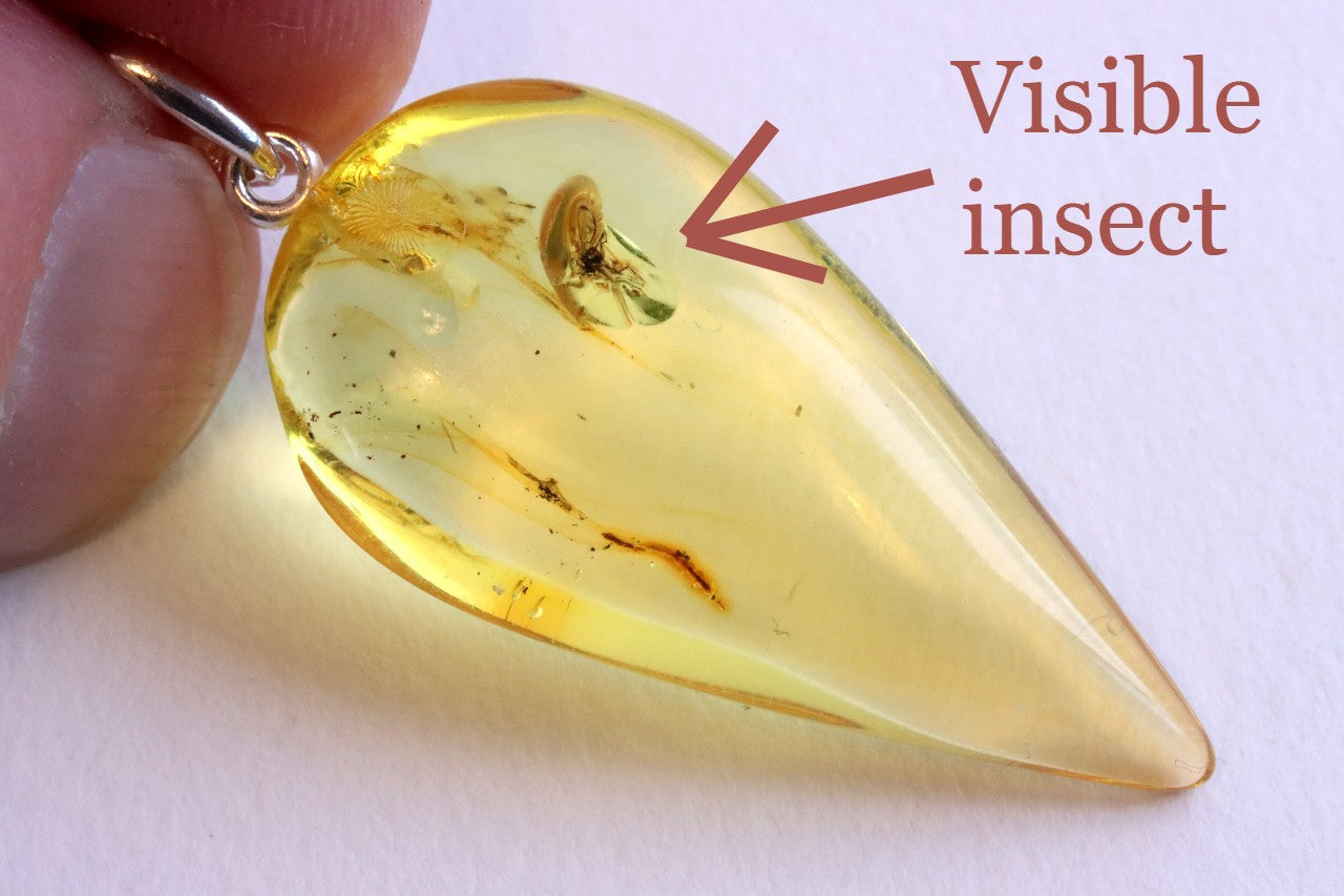 Silver Amber Pendant with Insect Inclusion