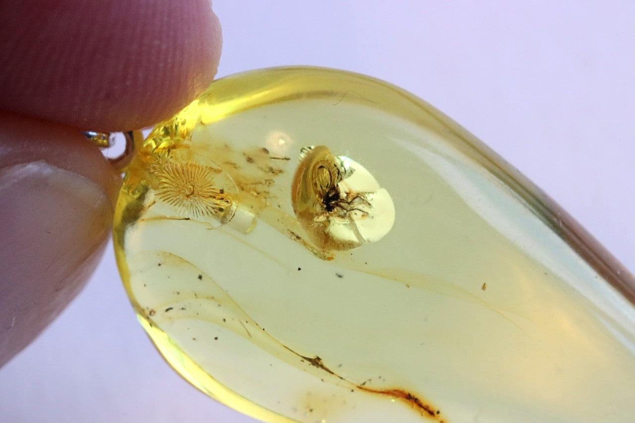 Silver Amber Pendant with Insect Inclusion
