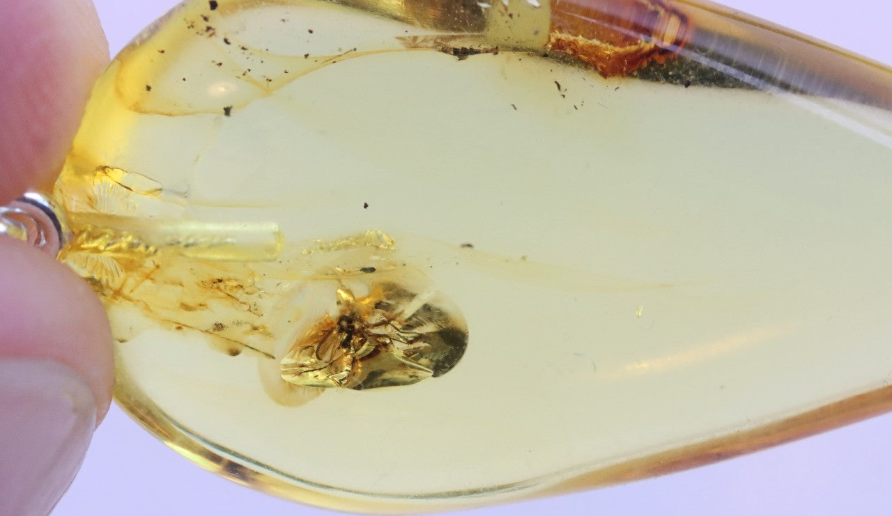 Silver Amber Pendant with Insect Inclusion