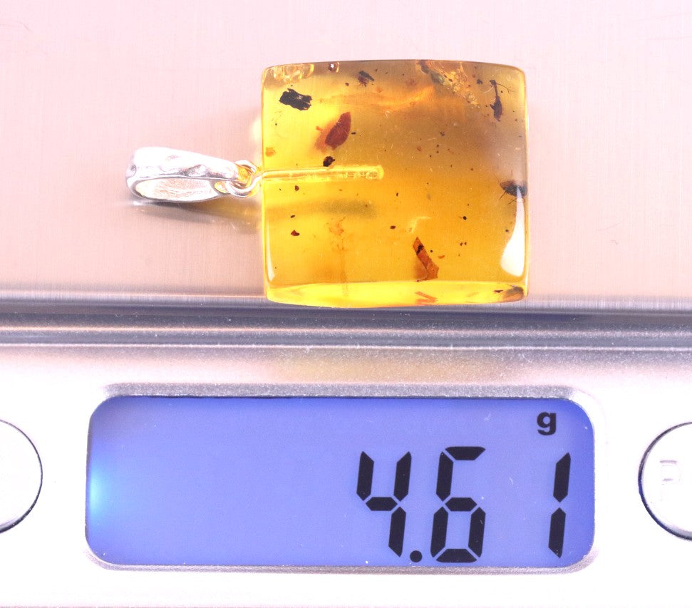 Clear Amber Pendant with Visible Inclusion