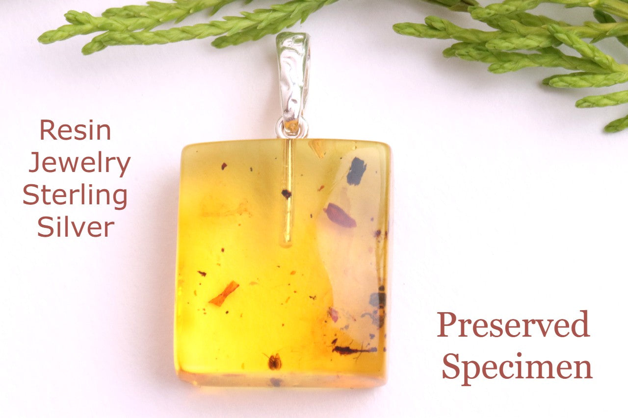 Clear Amber Pendant with Visible Inclusion