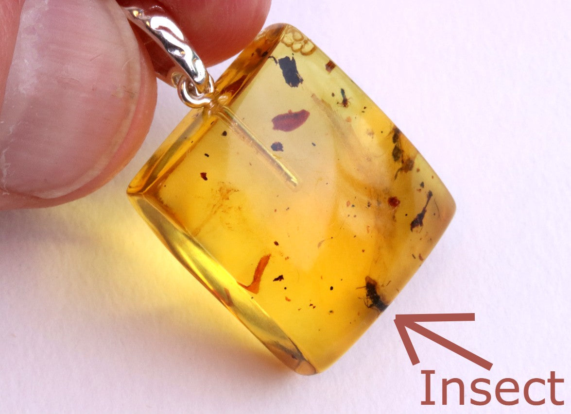 Clear Amber Pendant with Visible Inclusion