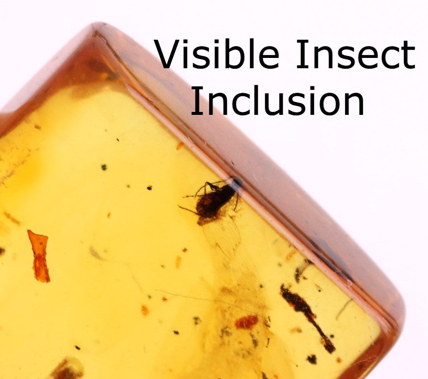 Clear Amber Pendant with Visible Inclusion