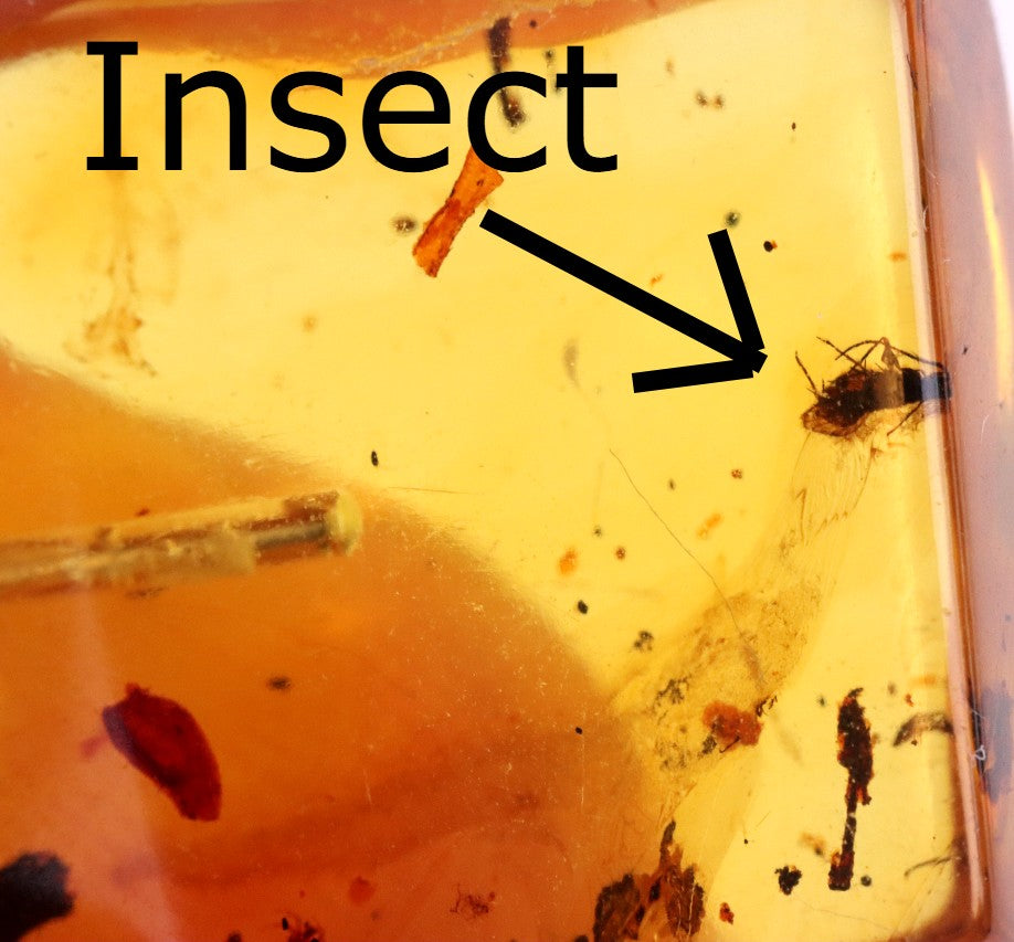 Clear Amber Pendant with Visible Inclusion