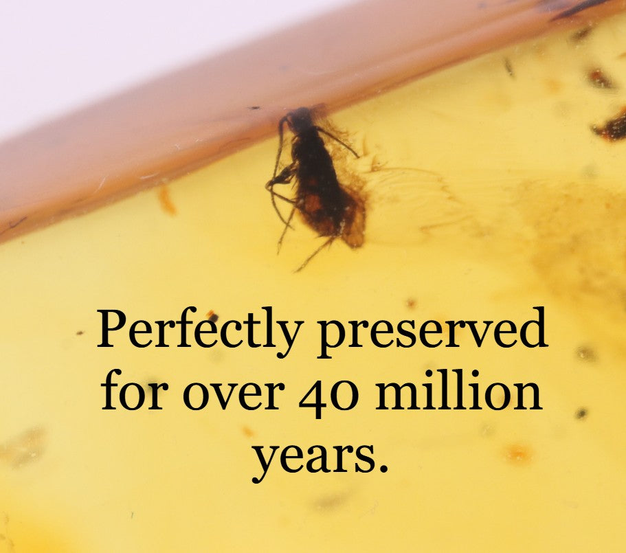 Clear Amber Pendant with Visible Inclusion