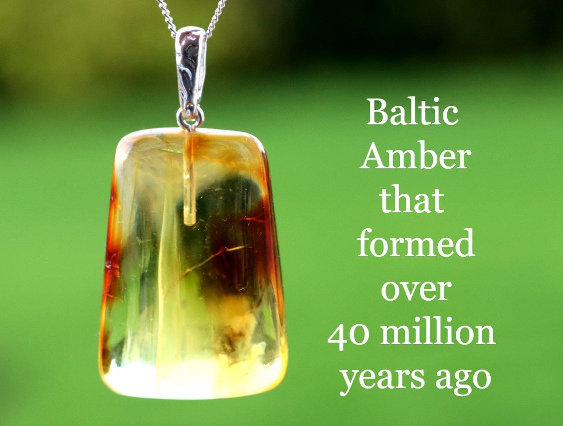 Natural Baltic Amber Pendant with Insect Inclusion