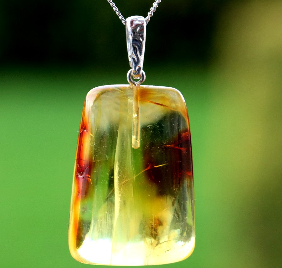 Natural Baltic Amber Pendant with Insect Inclusion