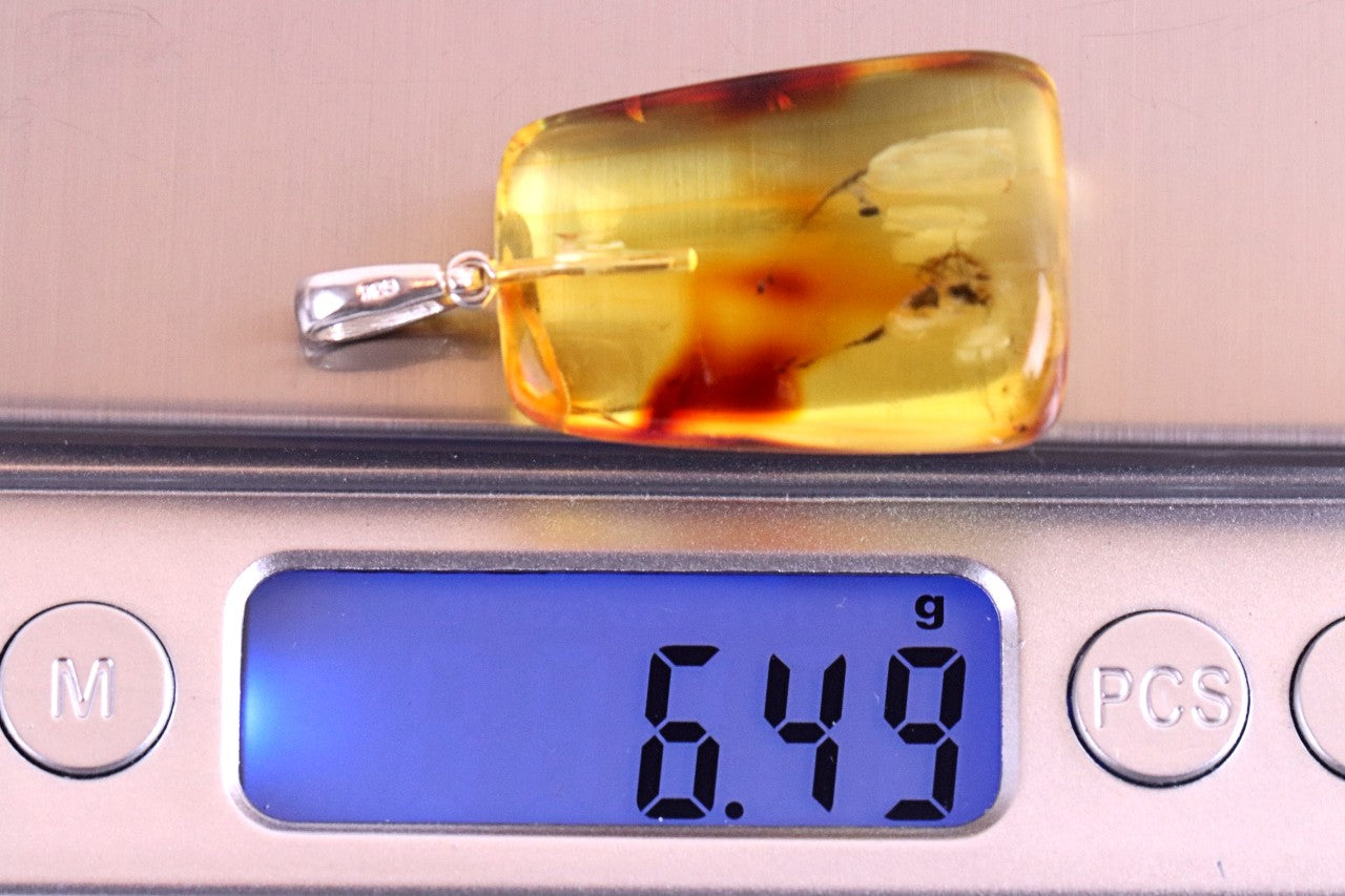 Natural Baltic Amber Pendant with Insect Inclusion