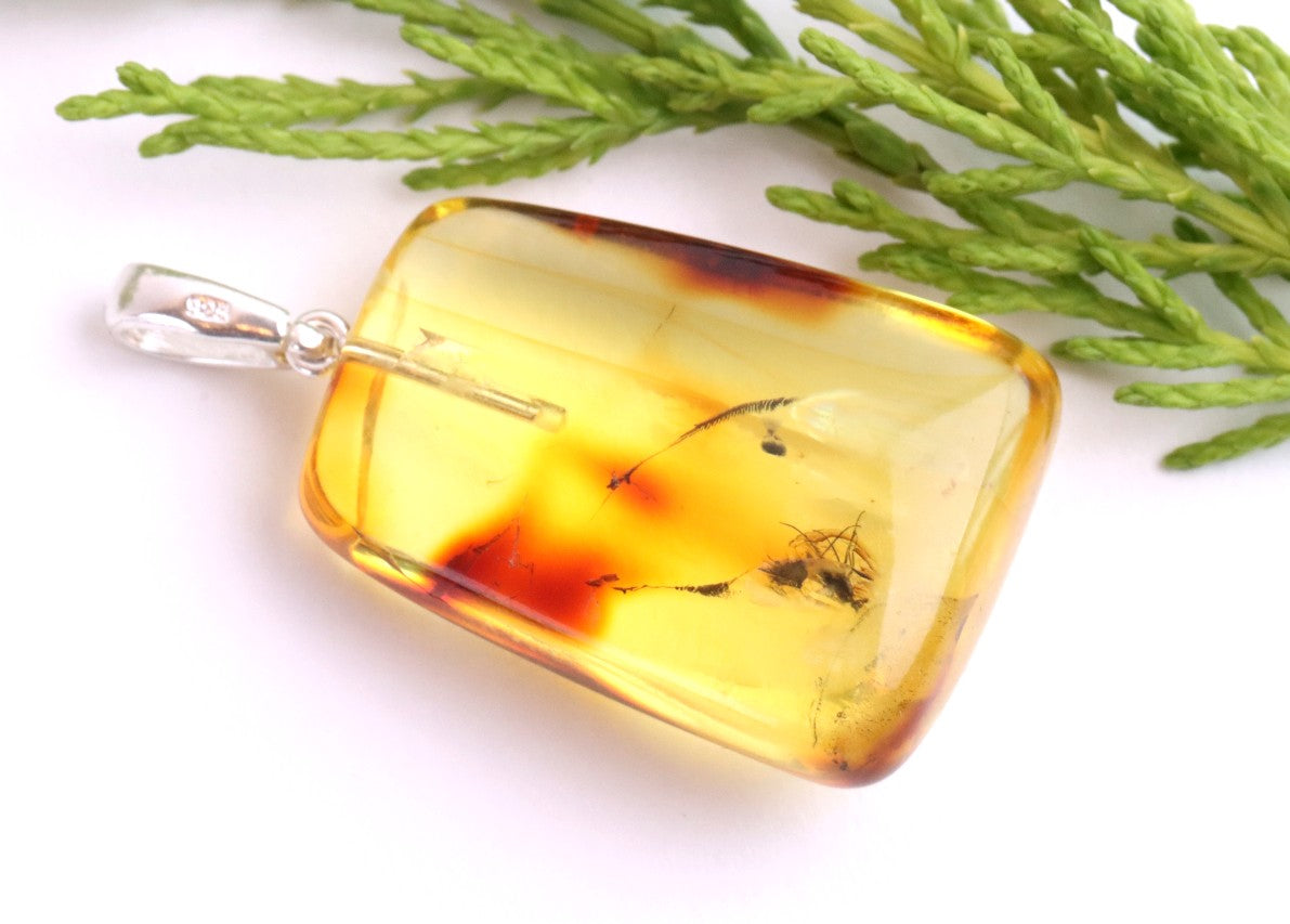 Natural Baltic Amber Pendant with Insect Inclusion