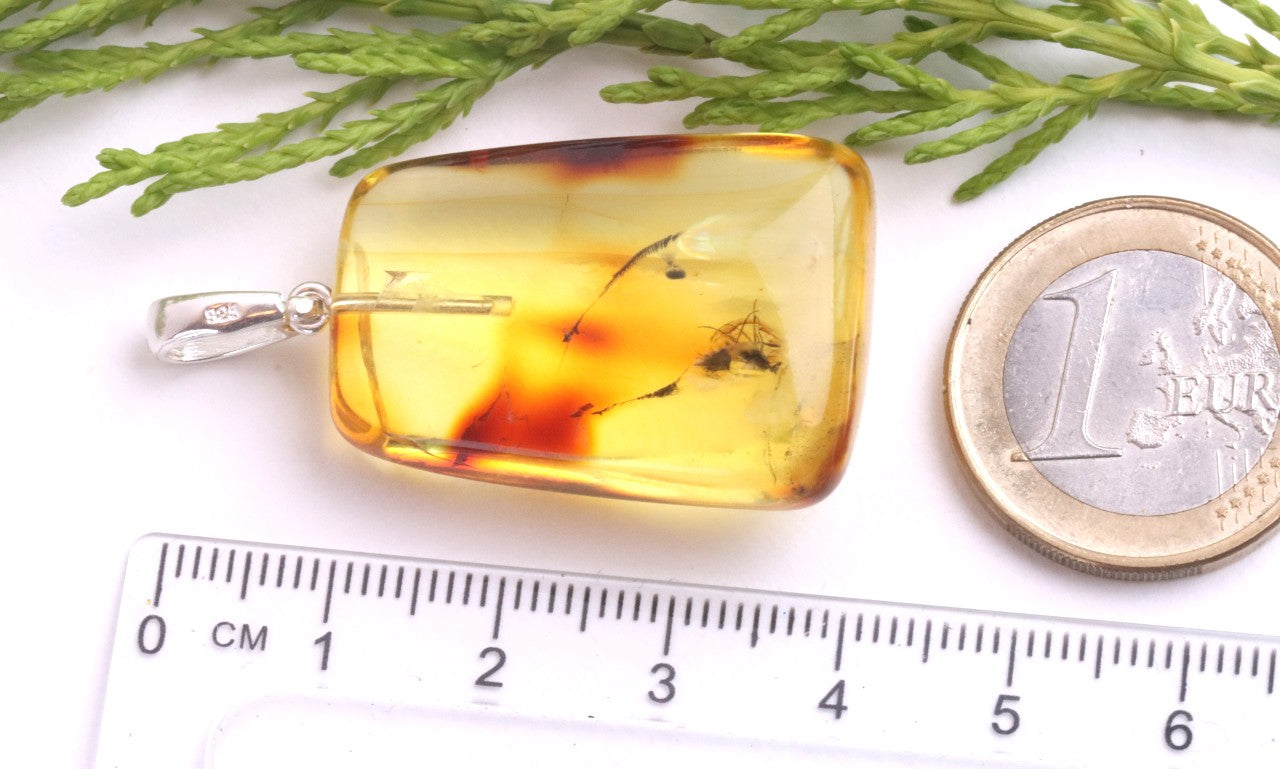 Natural Baltic Amber Pendant with Insect Inclusion