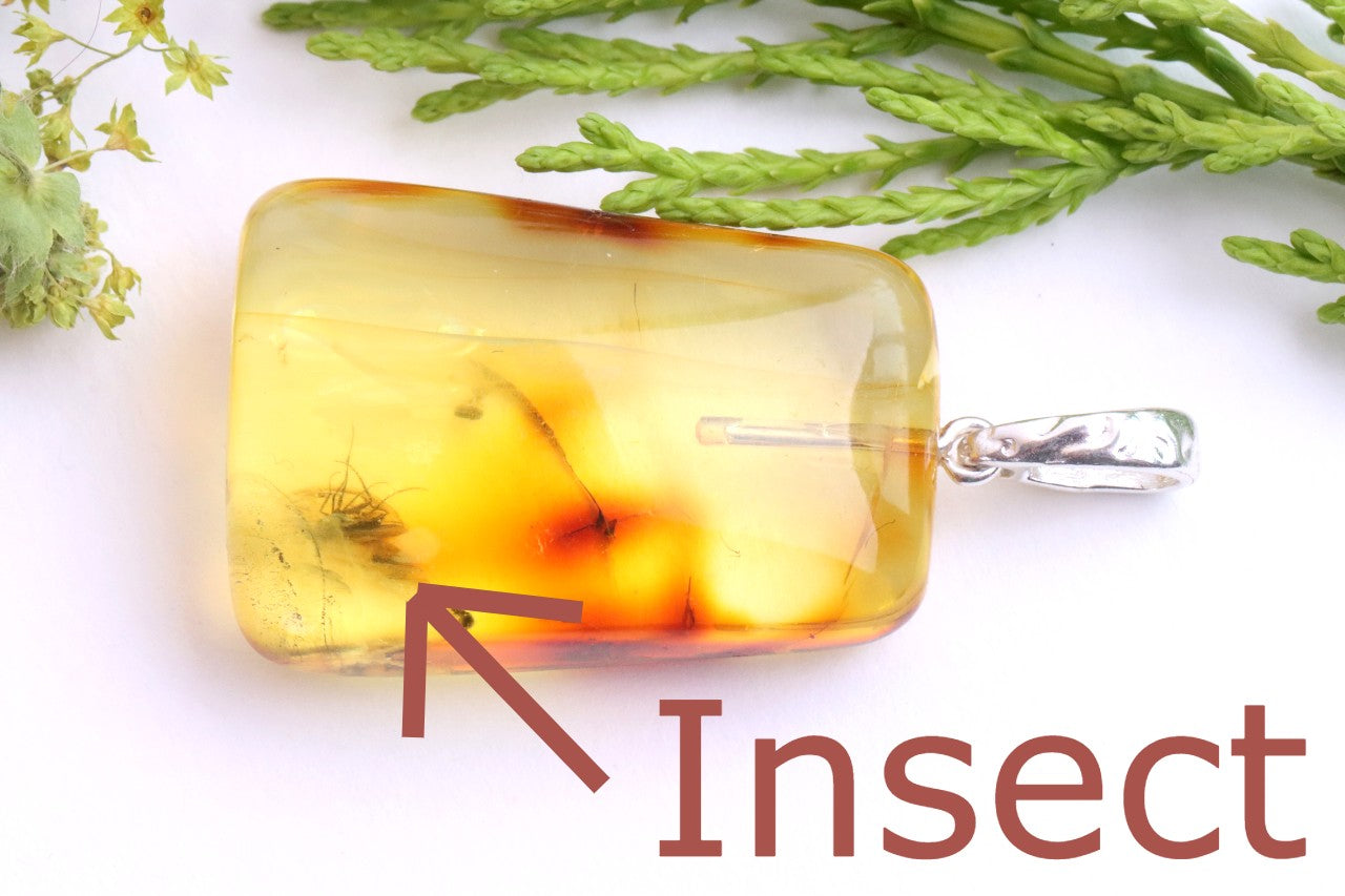 Natural Baltic Amber Pendant with Insect Inclusion