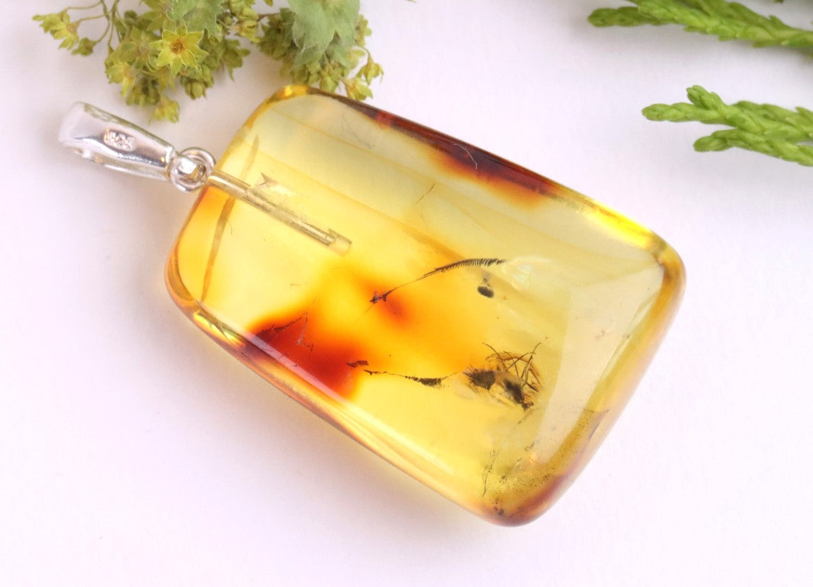 Natural Baltic Amber Pendant with Insect Inclusion