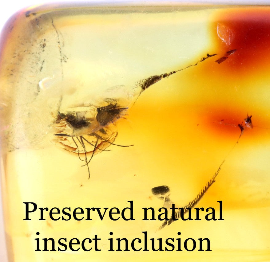 Natural Baltic Amber Pendant with Insect Inclusion