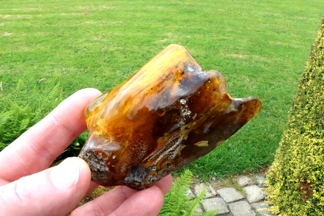 Unique Baltic Amber Stone | Natural Fossilised Amber  Resin Gem ~40 Million Years Old