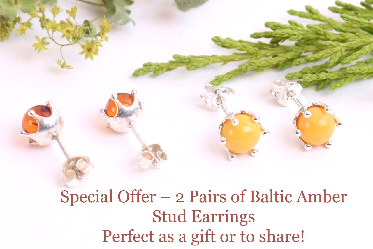 2 Pairs Round Amber Stud Earrings