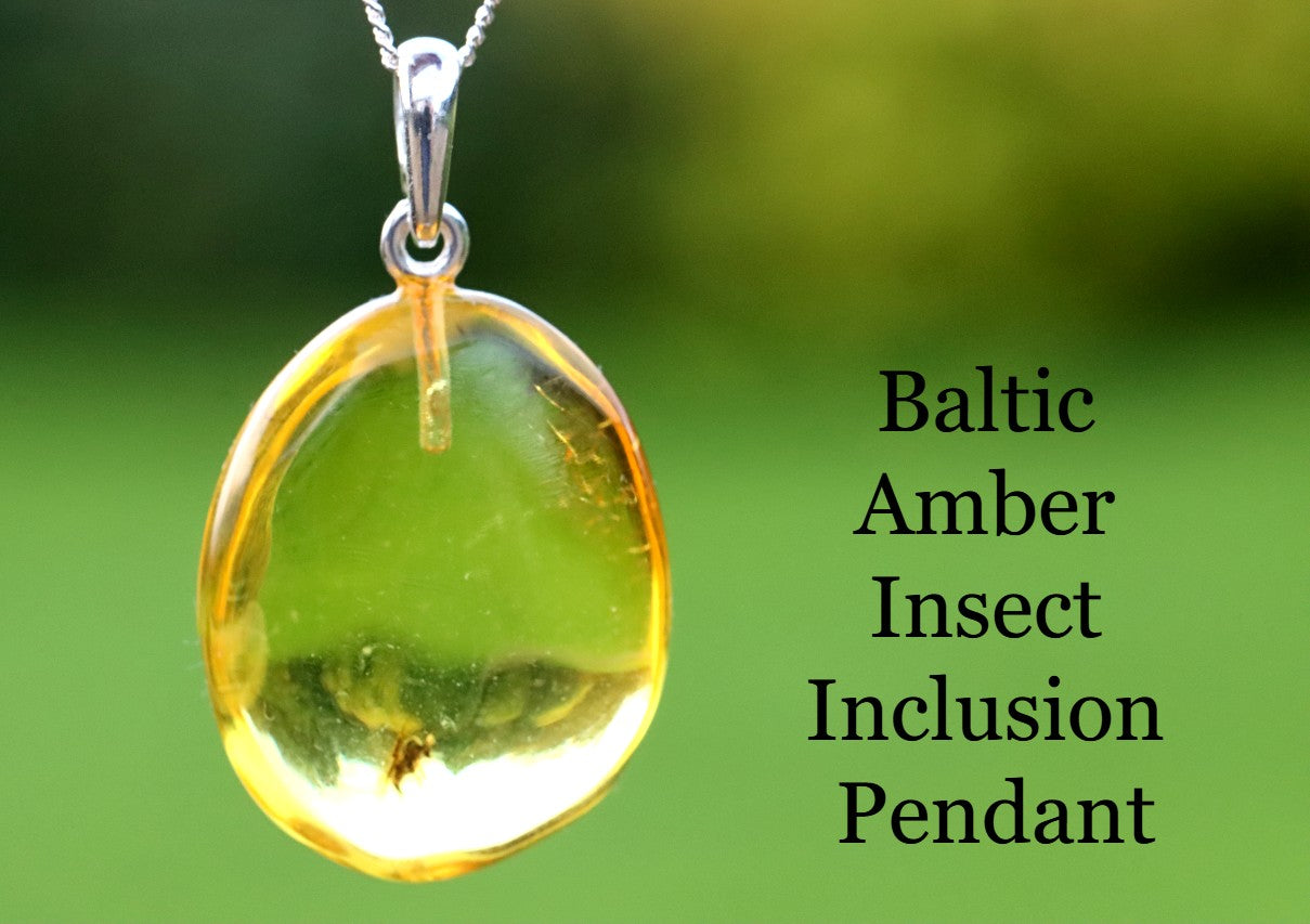 Baltic Amber Insect Inclusion Pendant