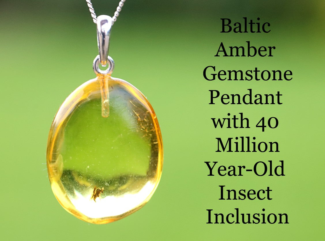 Baltic Amber Insect Inclusion Pendant