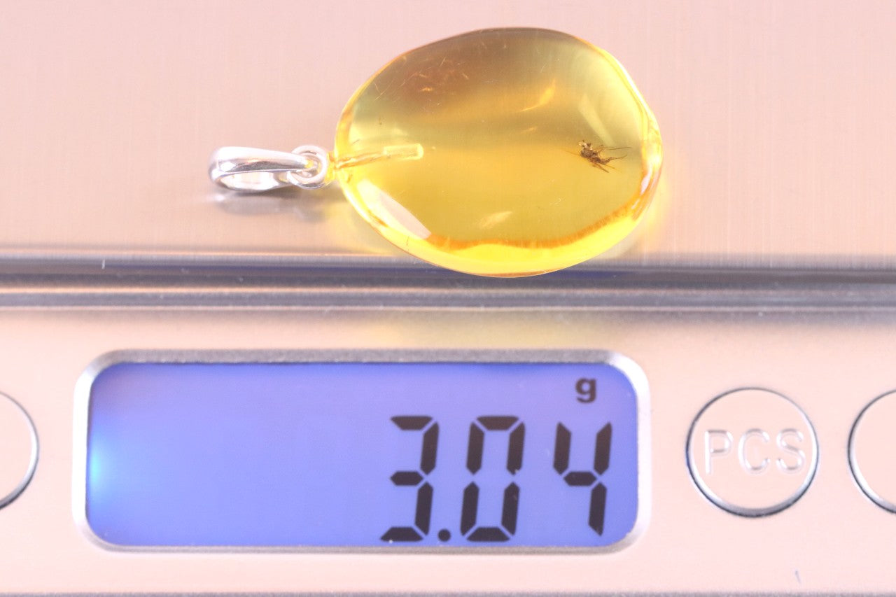 Baltic Amber Insect Inclusion Pendant