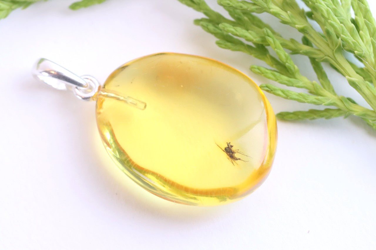 Baltic Amber Insect Inclusion Pendant