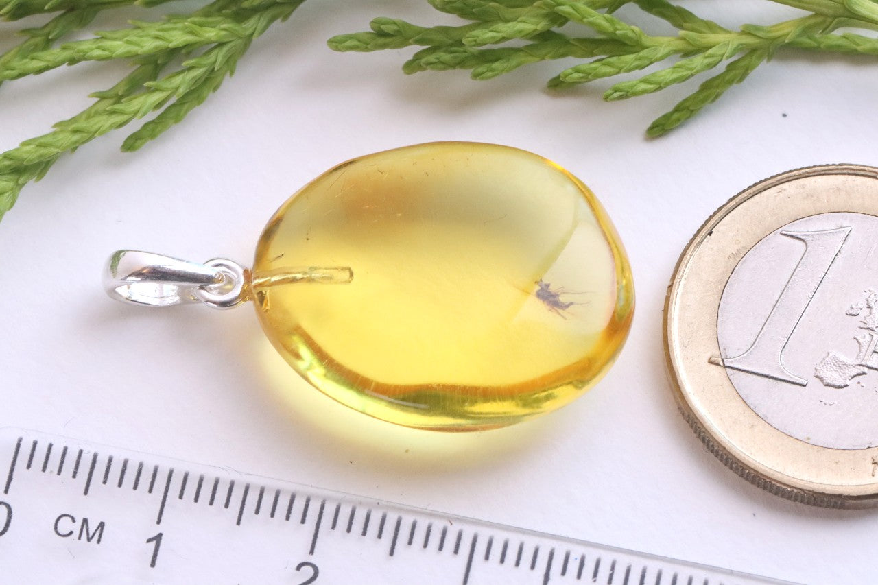 Baltic Amber Insect Inclusion Pendant