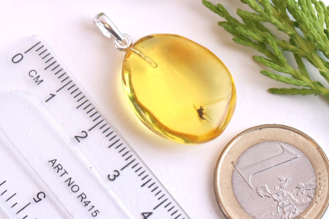 Baltic Amber Insect Inclusion Pendant