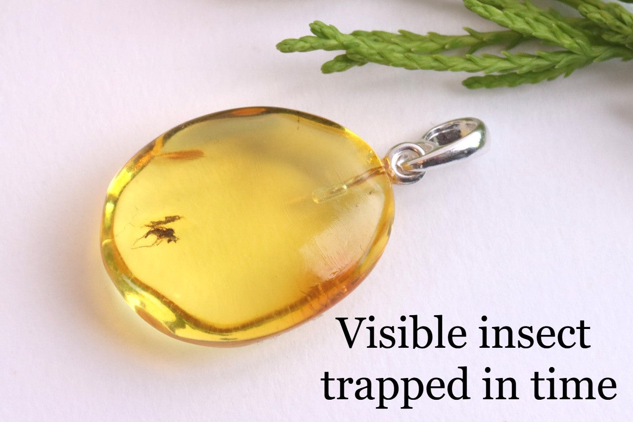Baltic Amber Insect Inclusion Pendant