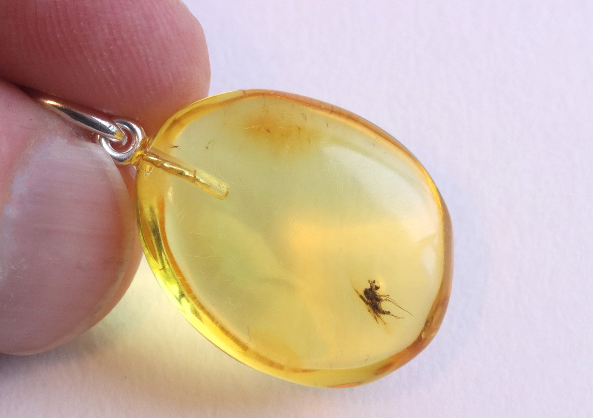 Baltic Amber Insect Inclusion Pendant